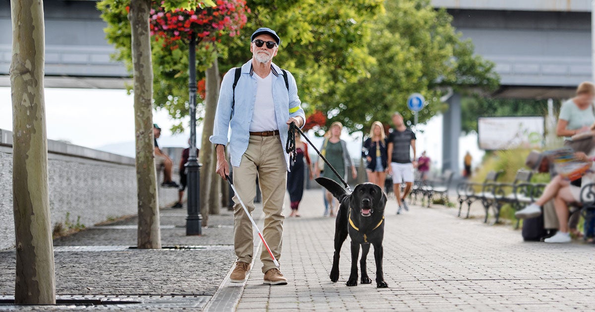 man with cane and guide dog walking down street