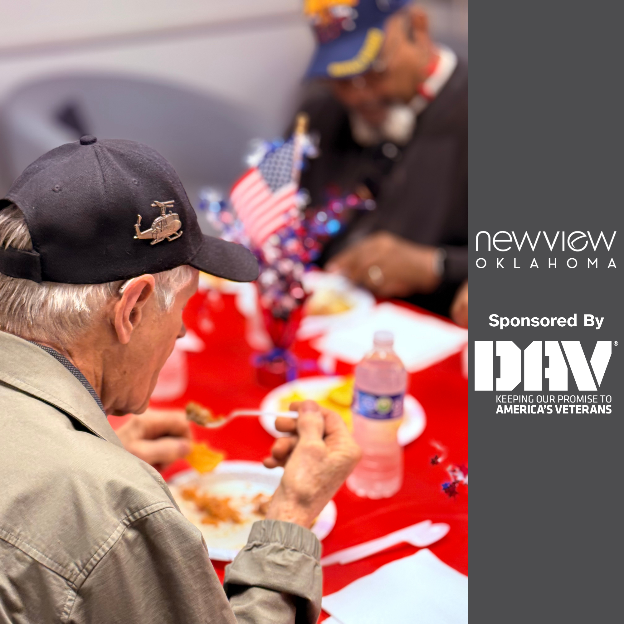 two veterans eating together. NVO logo. Sponsored by DAV