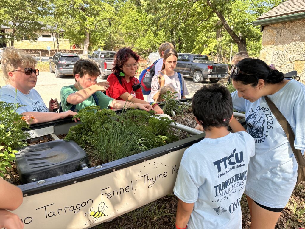 OWL Campers gardening