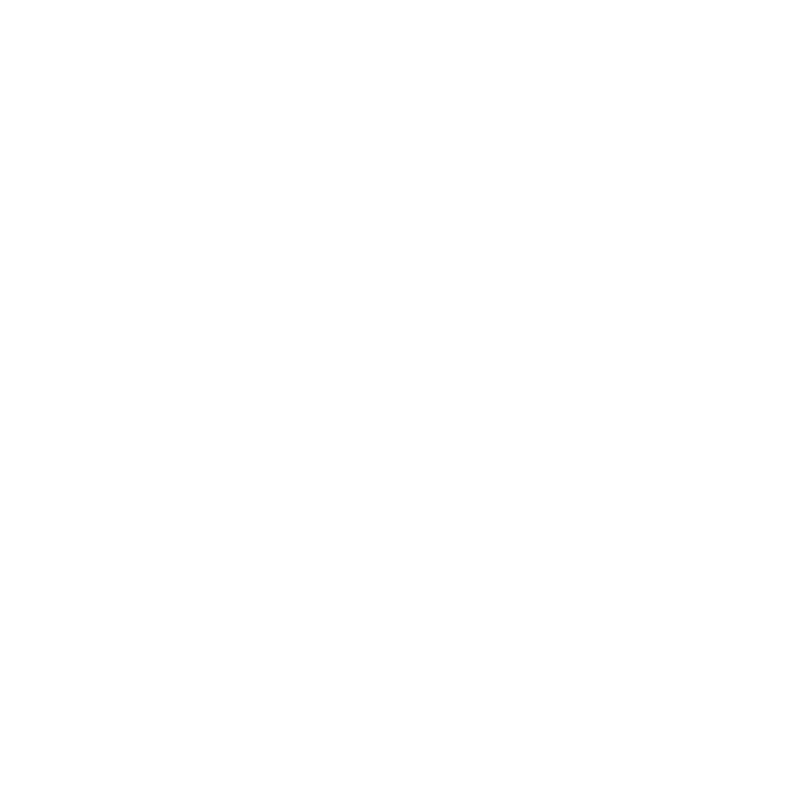 Soleir ISO 9001-2015 logo