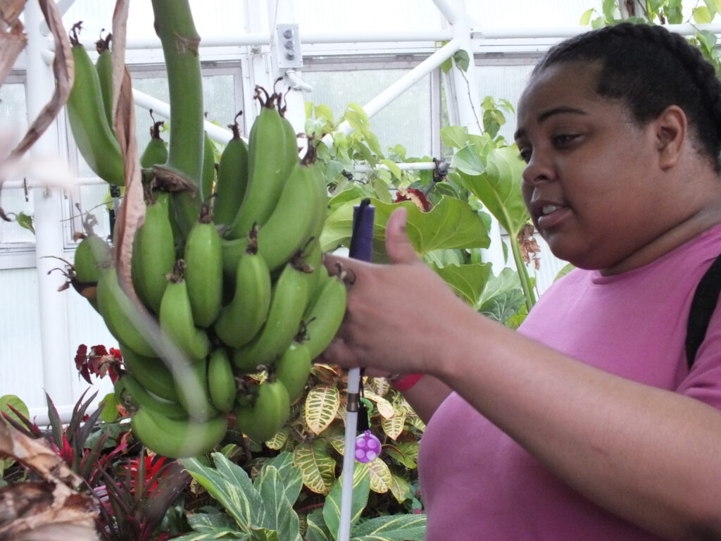 Tiana touching plantains inside the myriad gardens