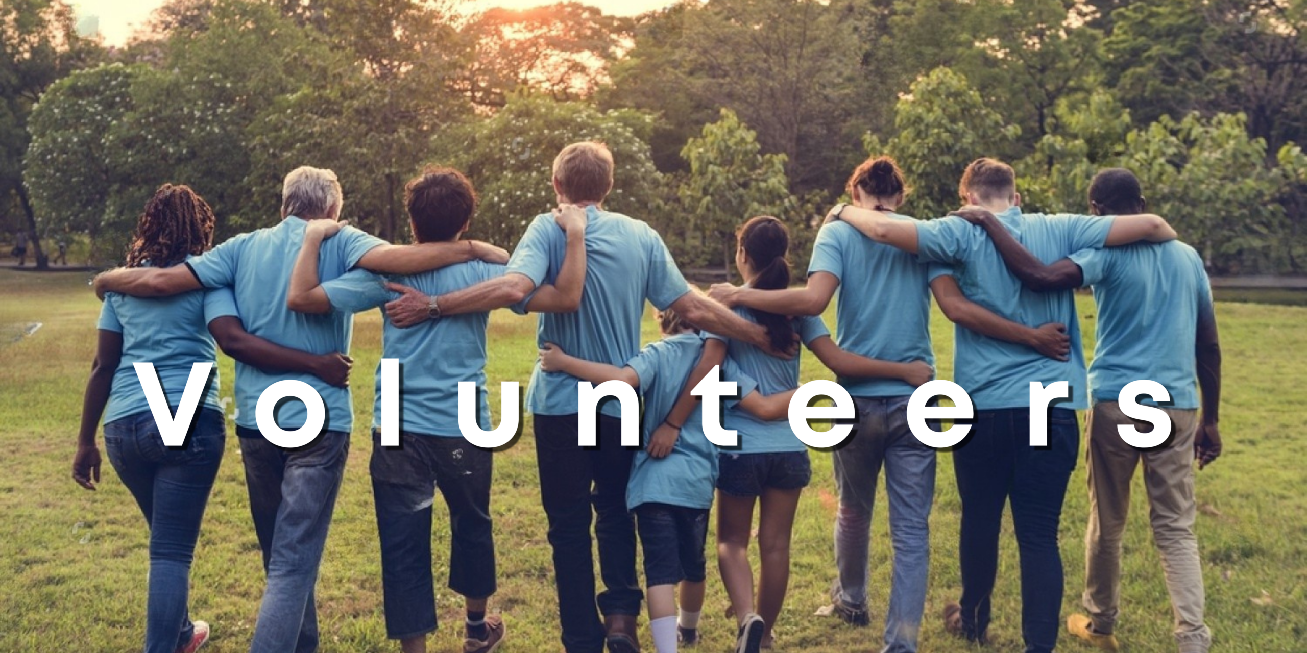 A group of people in a green field walking arm in arm with the word "volunteers" across their backs.
